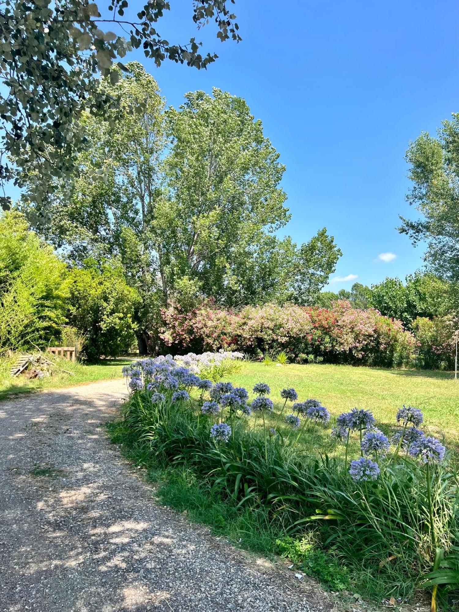 Domaine Du Lac De La Vallee Ла Рокет-Сюр-Сиань Экстерьер фото